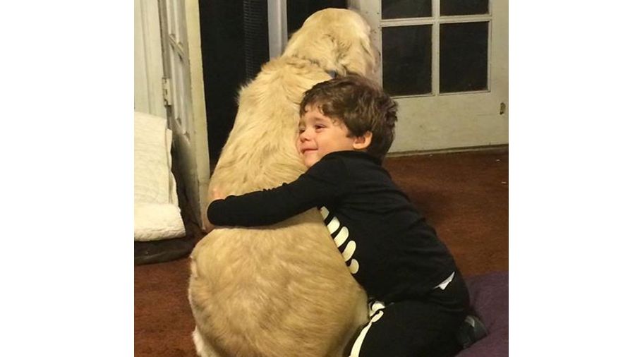Мережу розчулила дружба хлопчика-аутиста з собакою: фотофакт