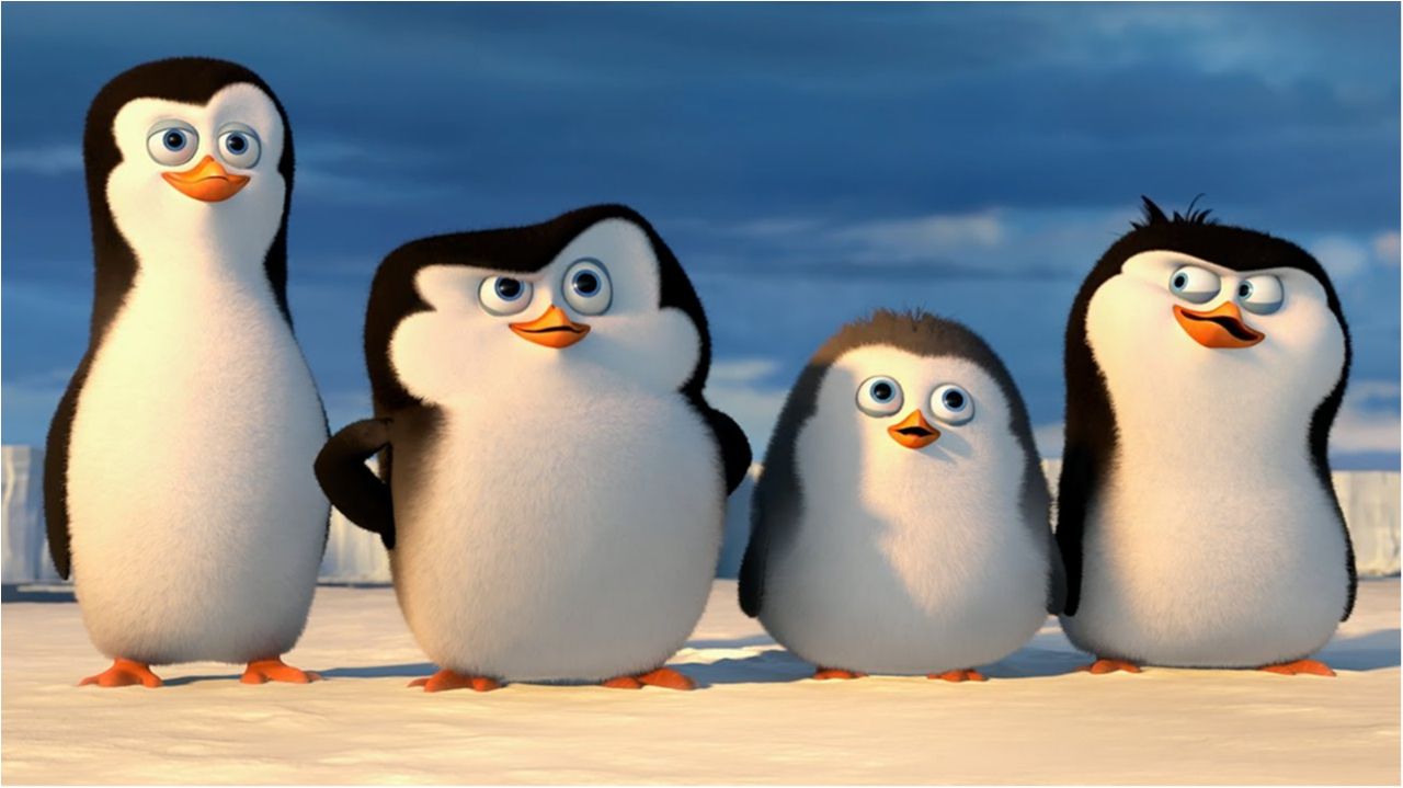 Сніданок з пінгвінами: в Індонезії відрився оригінальний ресторан