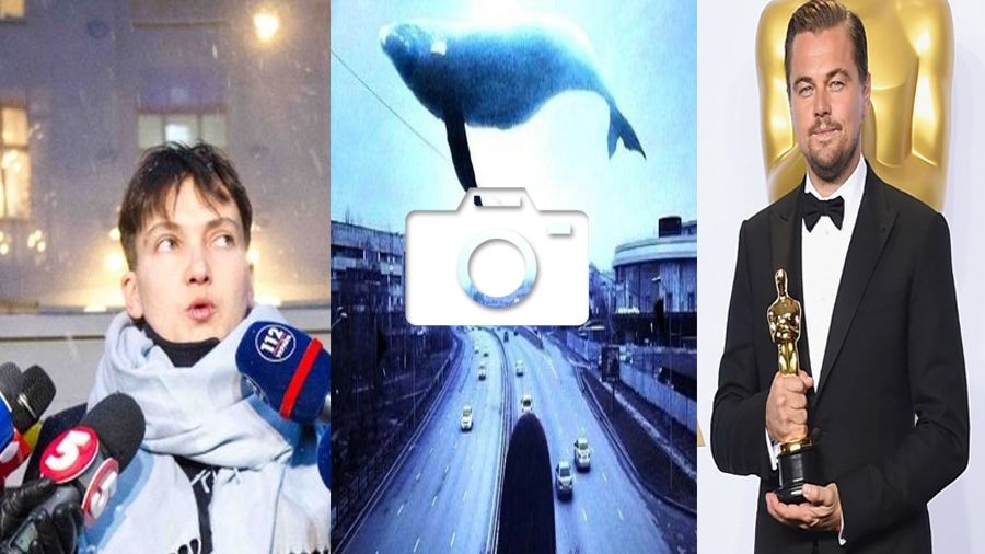 Прогулянка Савченко по "ДНР" і головні курйози "Оскара": 25 лютого в трьох фото