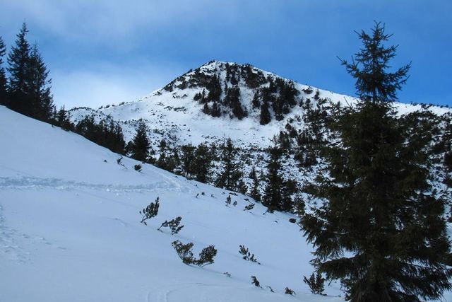 Світанок у засніжених Карпатах: чарівні фото - фото 140670