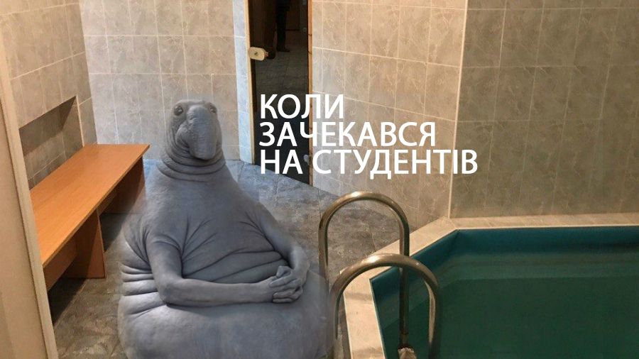 Іронія дня: в університеті влаштували сауну - фото 1