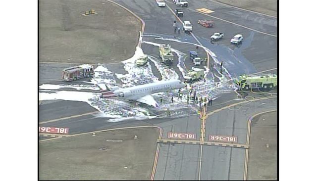 Олень-камікадзе мало не збив пасажирський літак - фото 143472