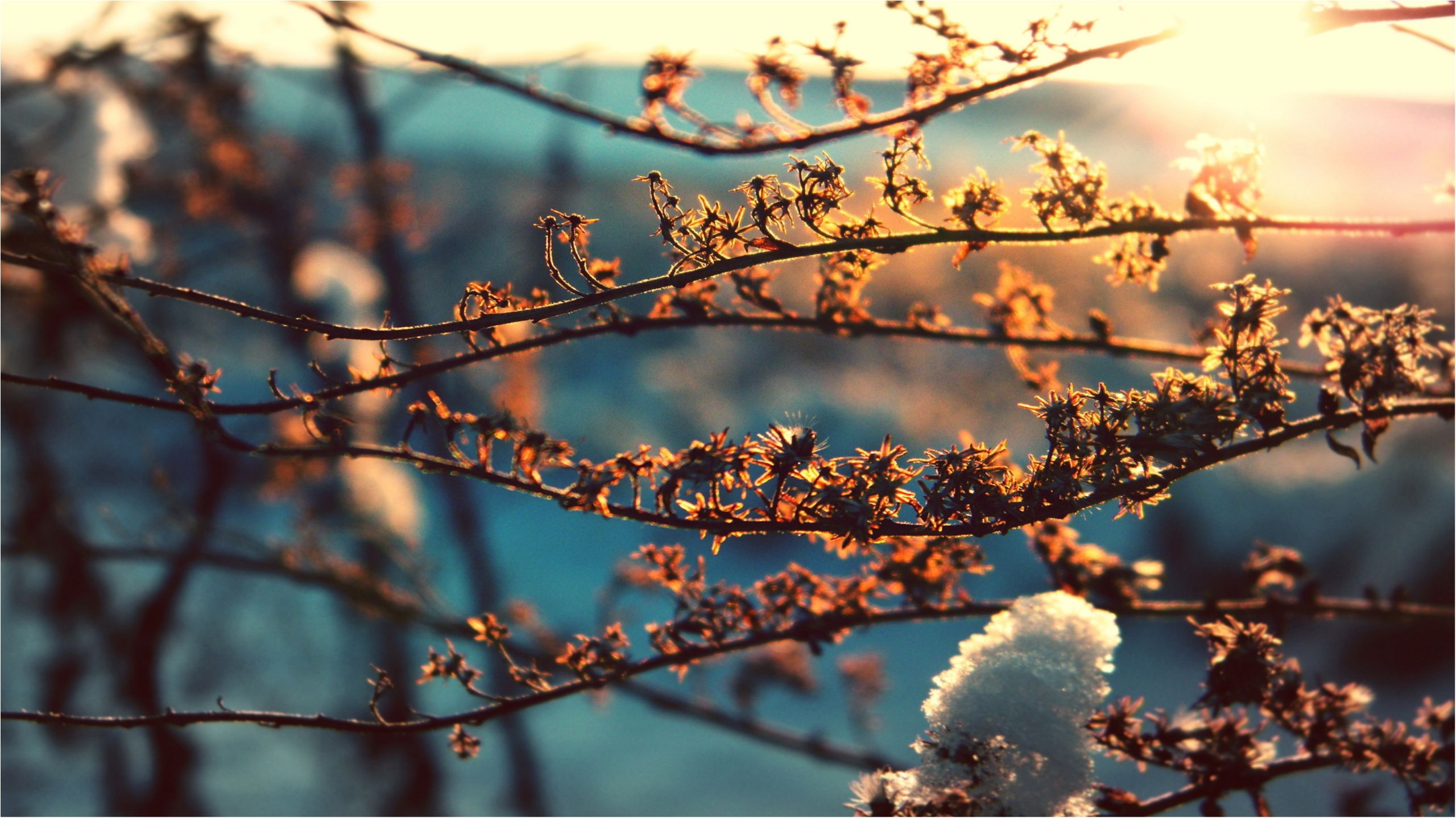 Погода в Україні: синоптики обіцяють незначне потепління