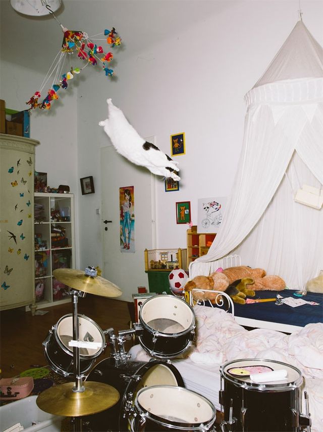 Коти, які вміють літати: незвичайні фото - фото 147317