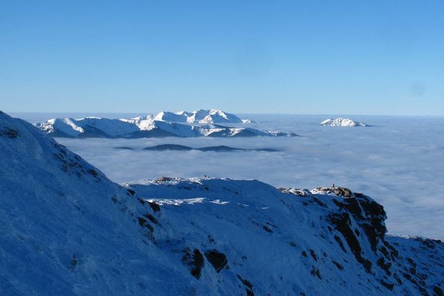 Світанок у засніжених Карпатах: чарівні фото - фото 140673