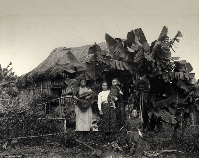 Як виглядали Гаваї у 1890-х роках: унікальні фото - фото 143685