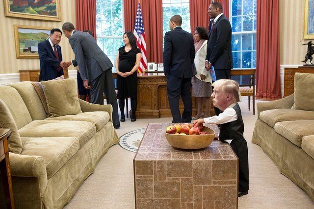 Мережу розвеселили фото "крихітного Трампа" - фото 144342