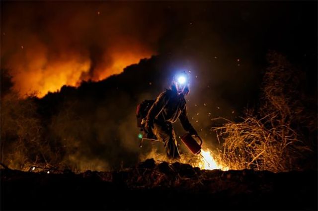 Лісова пожежа у Каліфорнії. Фото: Маркус Ям - фото 147445