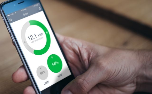 Ecoisme - фото 143108