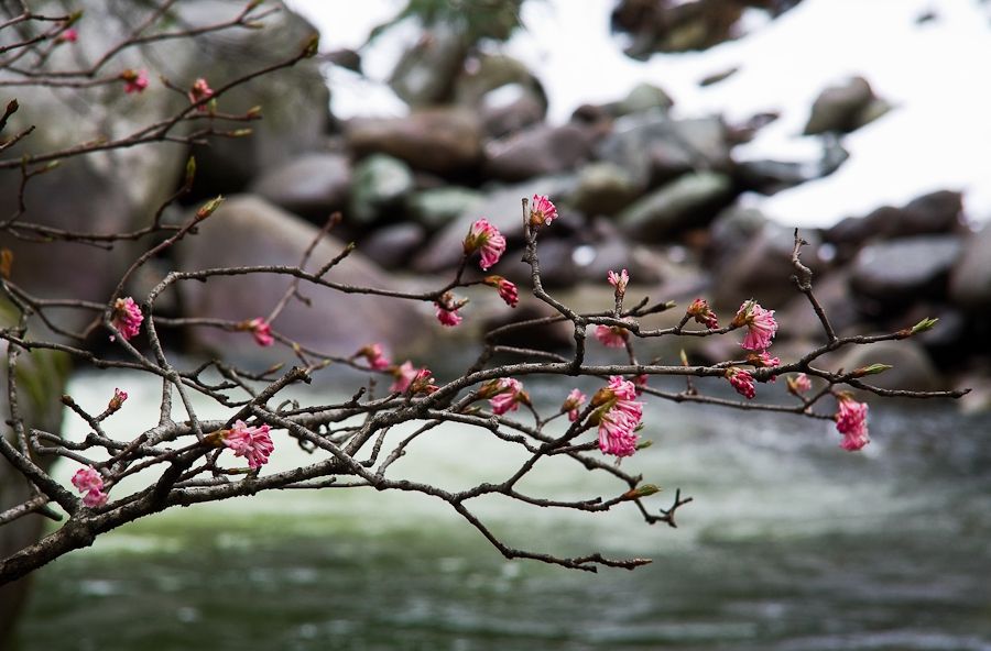 Потепління - фото 1