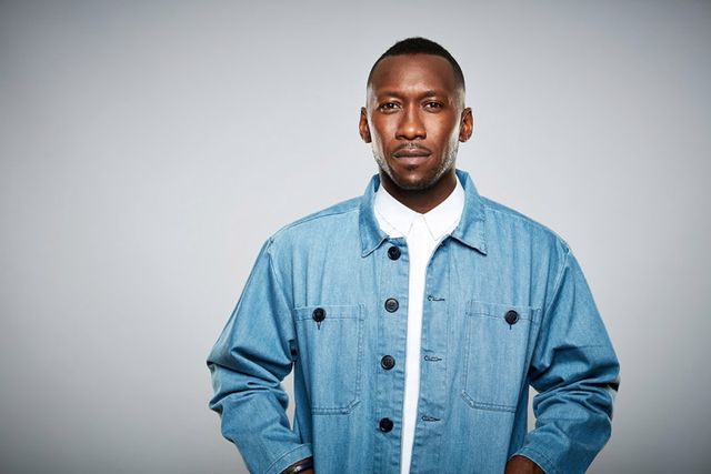 Магершала Алі - фото 147302