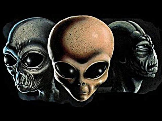 У мережі висміюють новий конфуз Кремлівського ЗМІ - фото 1