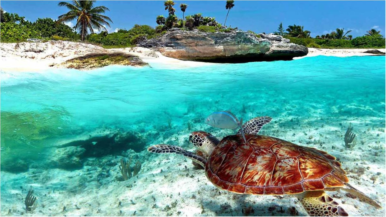 ЗМІ назвали найкращі пляжні напрямки світу