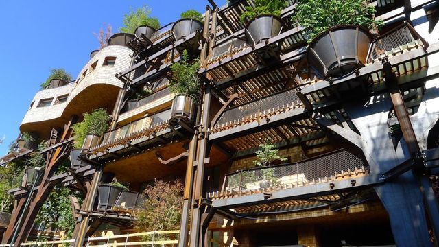 Помешкання мрії: як виглядає незвичайний дім в деревах - фото 143822