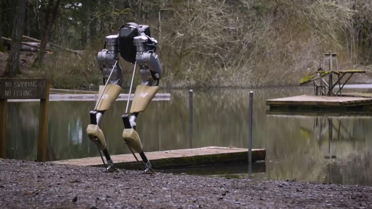 У США випробували робота-страуса для доставки вантажів