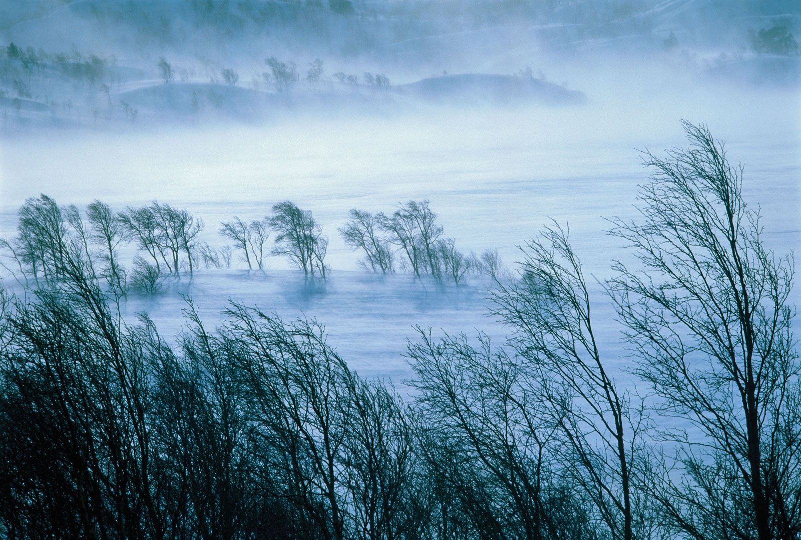 Вітряна зима - фото 1