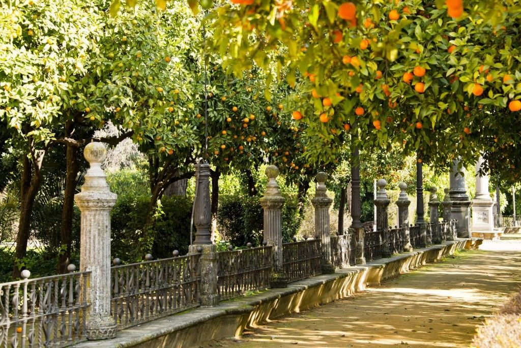 Як пахнуть країни та міста у різних куточках світу