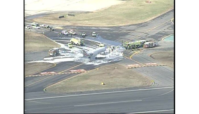 Олень-камікадзе мало не збив пасажирський літак