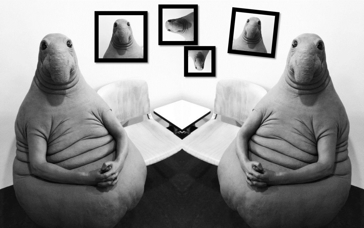 Це вже серйозно: Почекун прийшов до Ради