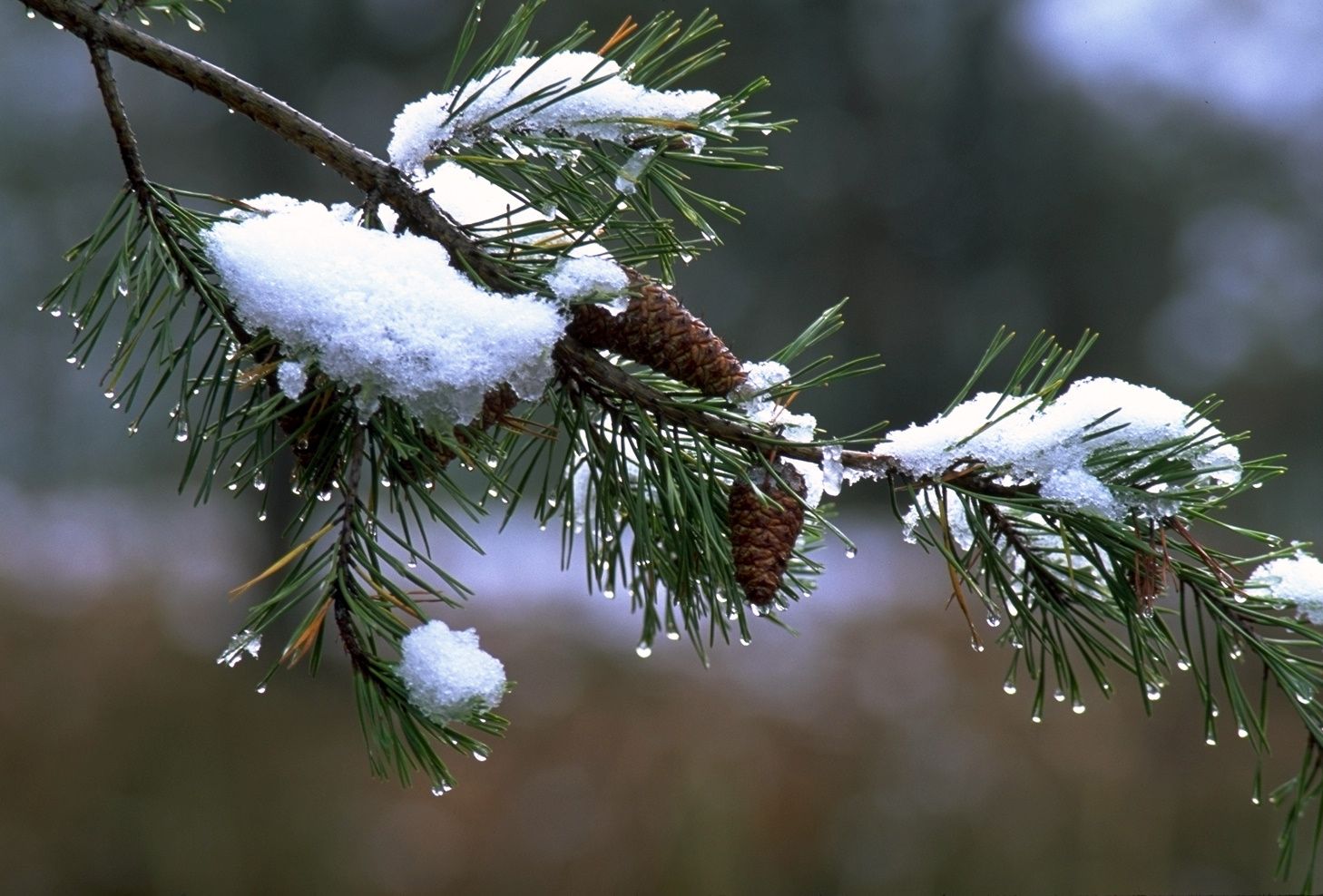 Синоптики попереджають про погіршення погоди