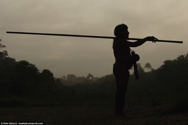 Як виглядає життя племен Амазонки: вражаючі фото - фото 142995