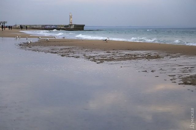 Майже весна: дивовижний фоторепортаж з Одеси - фото 146305