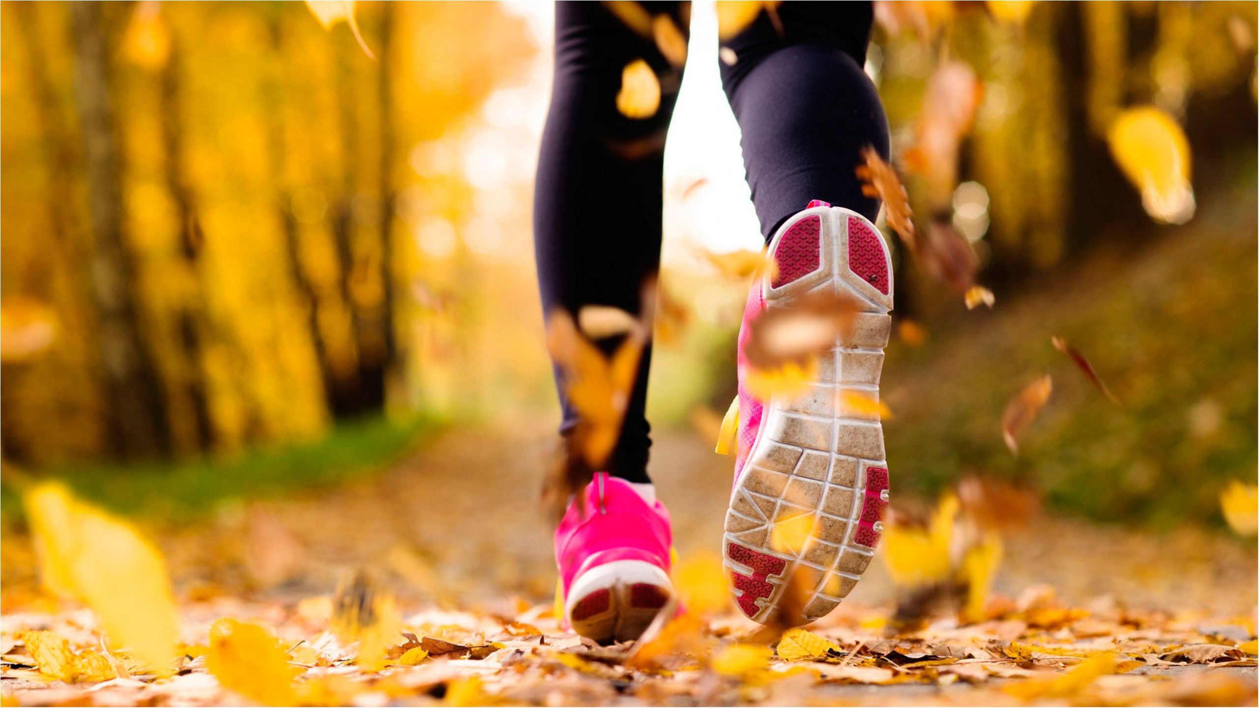 Спорт - фото 1