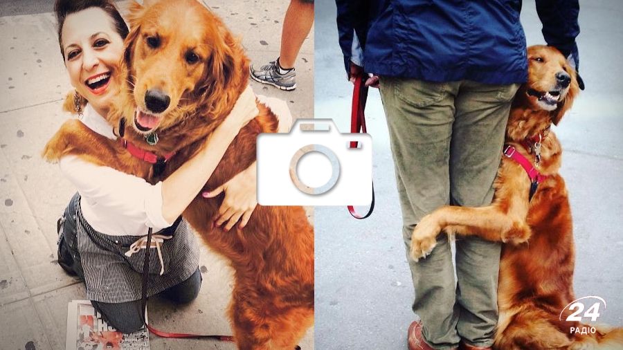 Собака-обіймака став зіркою Instagram: кумедні фото