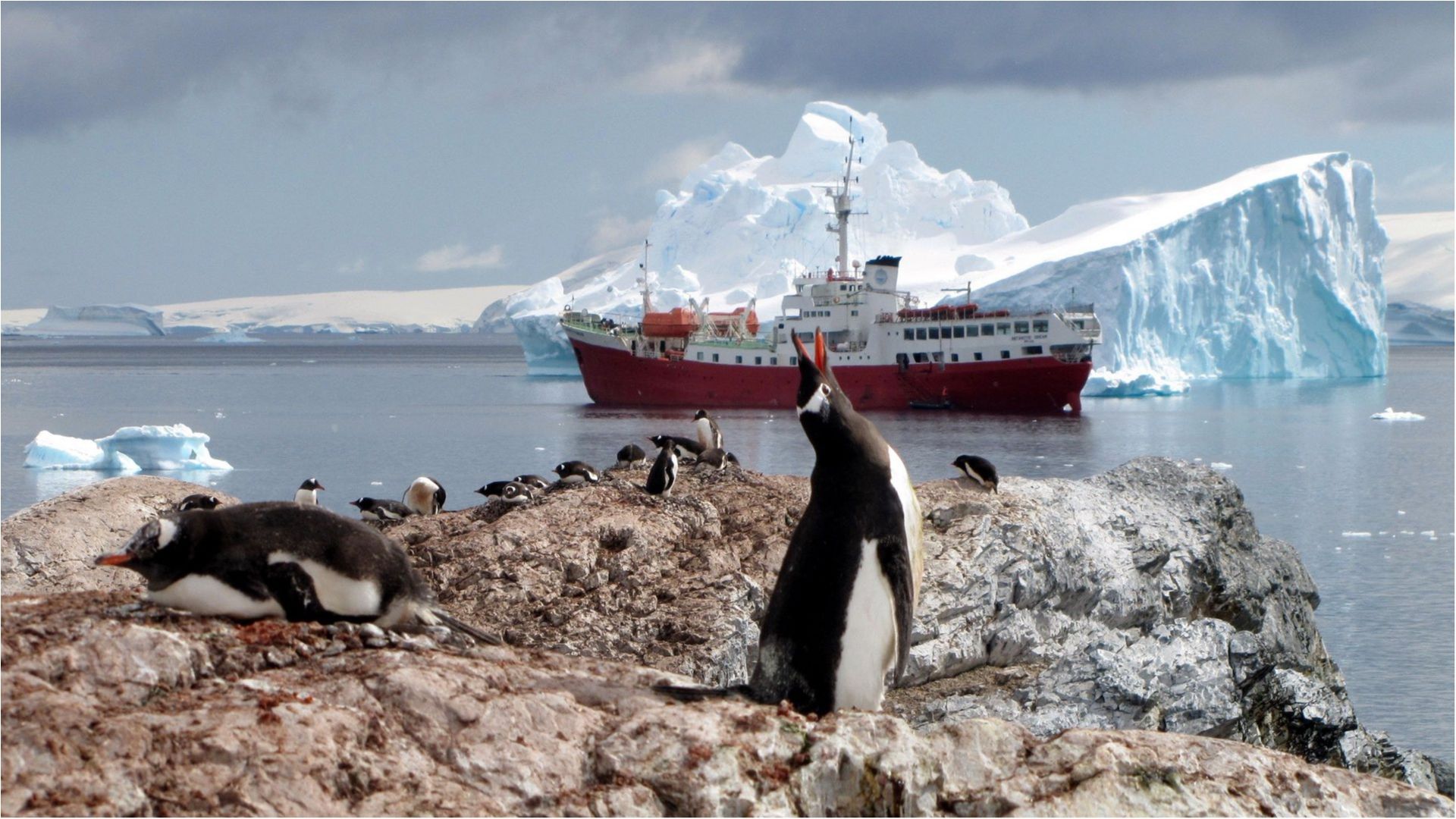 Танення льодовиків в Антарктиці б'є всі рекорди