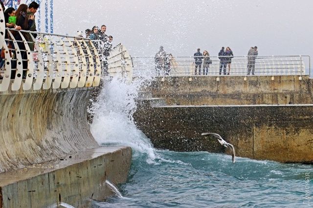 Майже весна: дивовижний фоторепортаж з Одеси - фото 146302