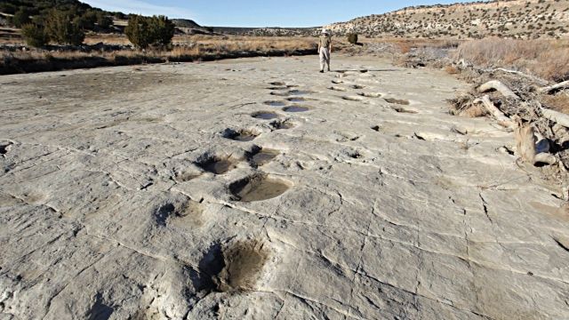 Італія відкриє для туристів таємничу Ущелину динозаврів - фото 146197