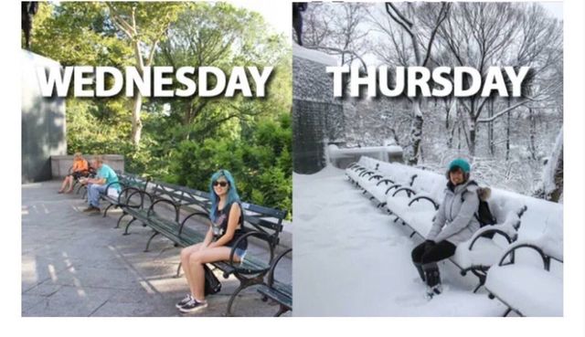 Як Нью-Йорк кардинально змінився за одну ніч: фотофакт - фото 141388