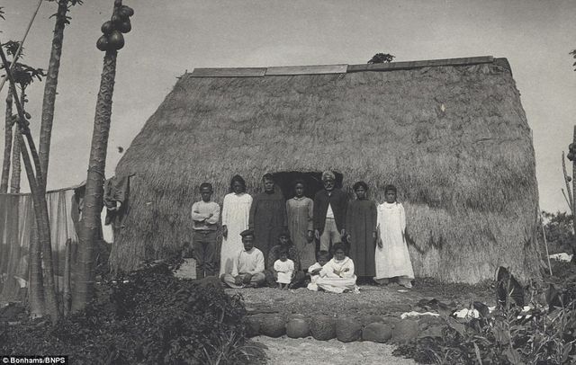 Як виглядали Гаваї у 1890-х роках: унікальні фото - фото 143686