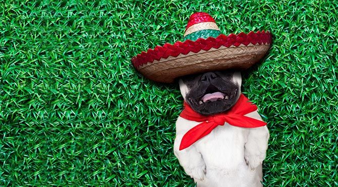 Скільки офіційних вихідних мають люди в різних країнах світу