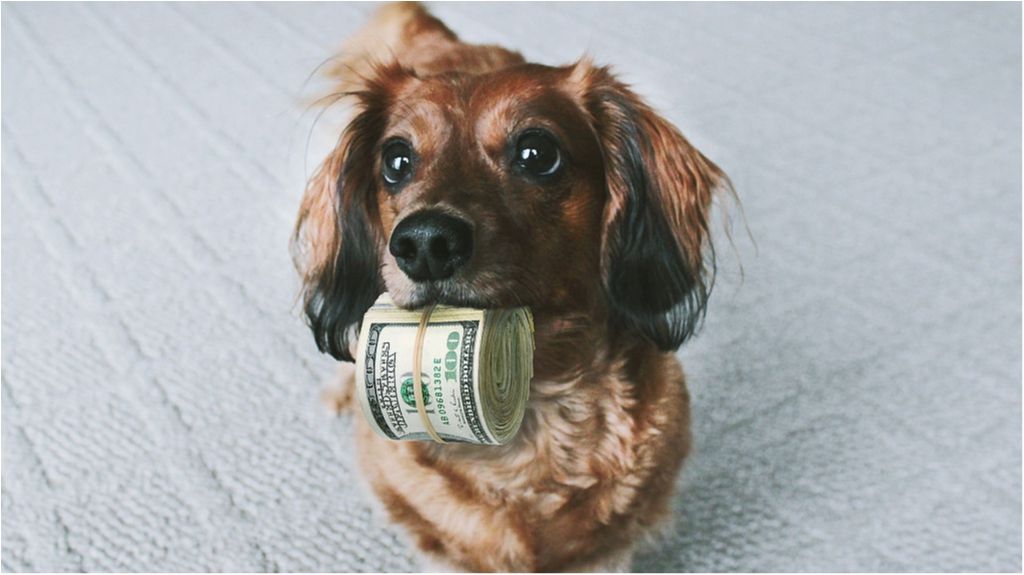 Не для слабодухих: скільки заробляють у Європі