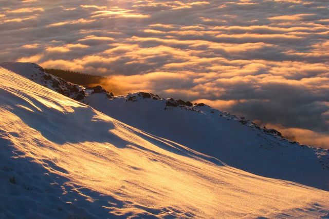 Світанок у засніжених Карпатах: чарівні фото - фото 140677