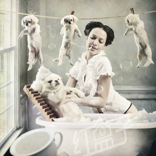 Даша Астаф'єва знялася оголеною для відомого українського фотографа - фото 142364