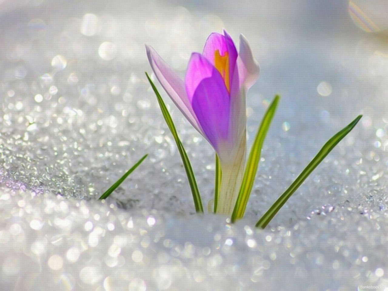 На Україну насувається потепління - фото 1