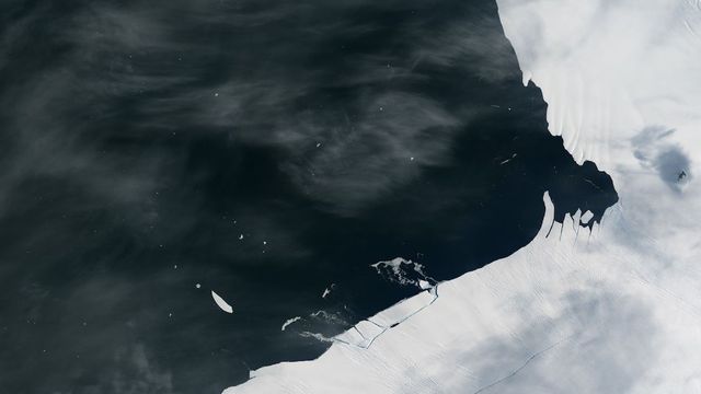 Від Антарктиди відколовся величезний айсберг: фотофакт - фото 144602