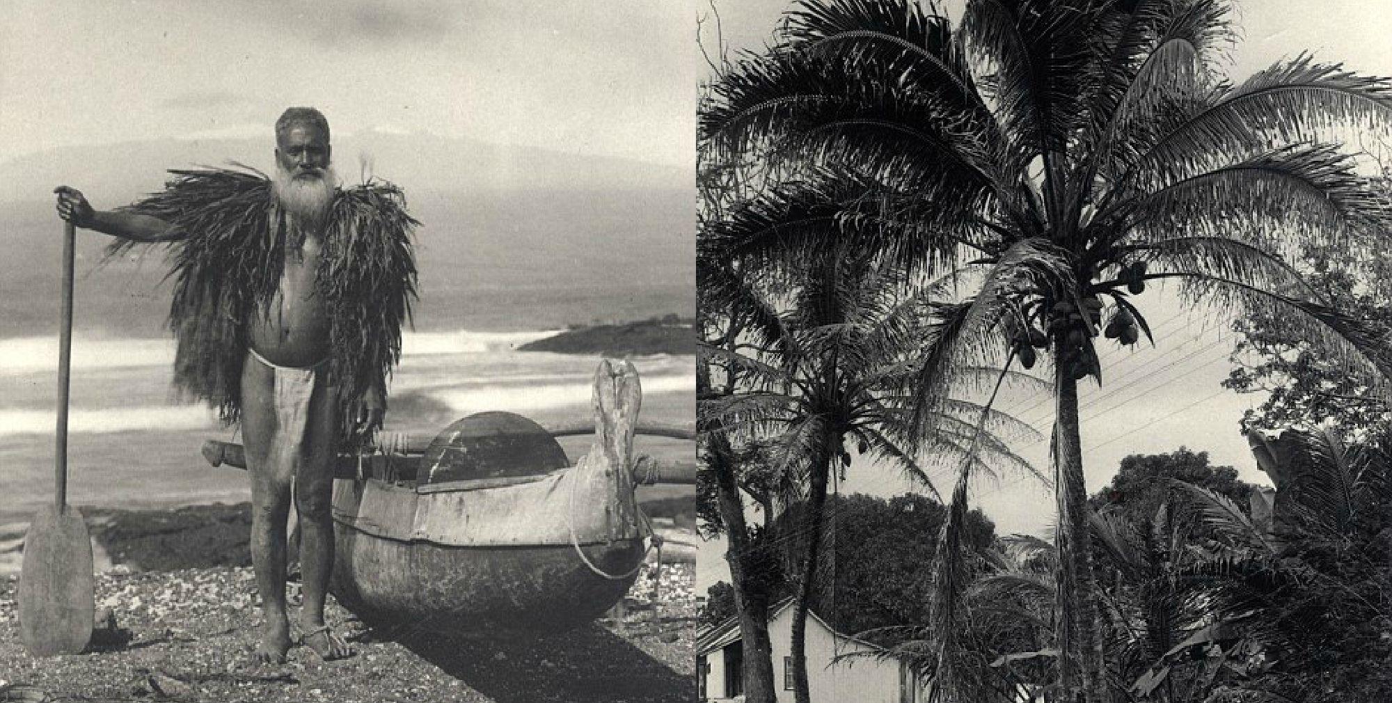 Як виглядали Гаваї у 1890-х роках: унікальні фото