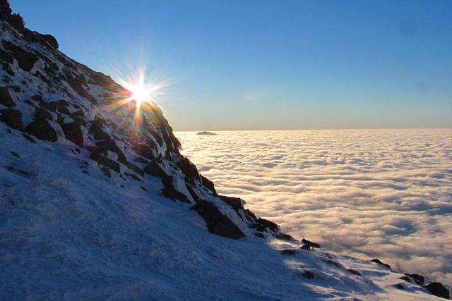 Світанок у засніжених Карпатах: чарівні фото - фото 140674