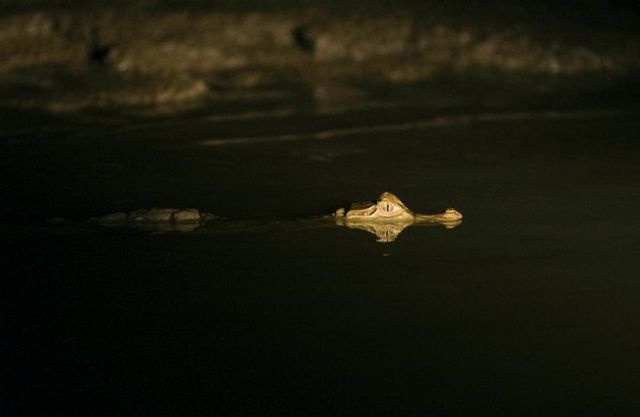 Як виглядає життя племен біля Амазонки: вражаючі фото - фото 141492