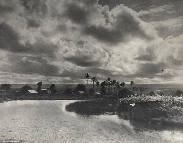 Як виглядали Гаваї у 1890-х роках: унікальні фото - фото 143687