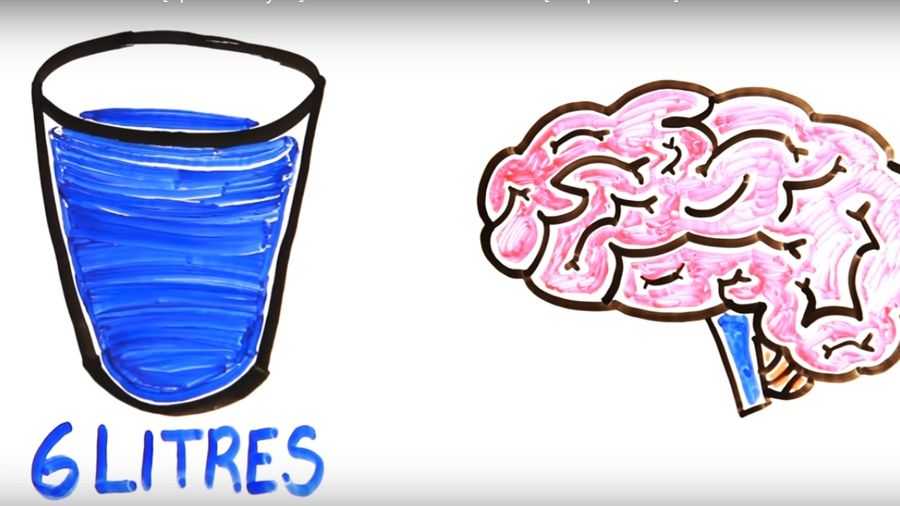 Яка доза води і шоколаду може вбити людину