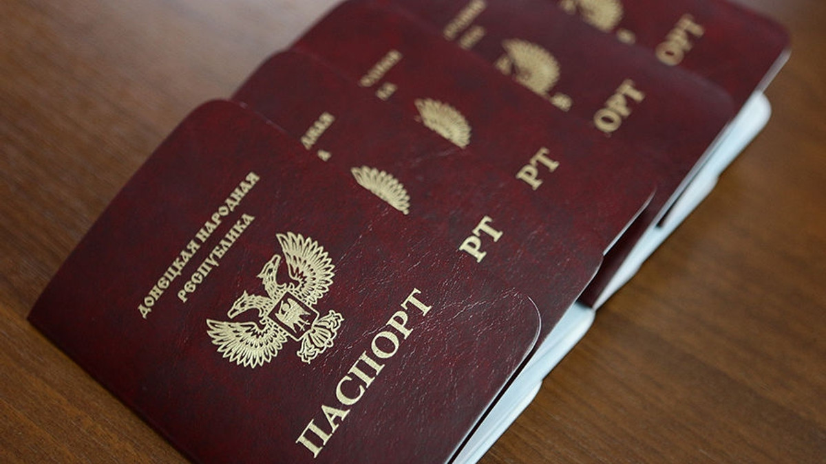 Паспорт "ДНР" - фото 1