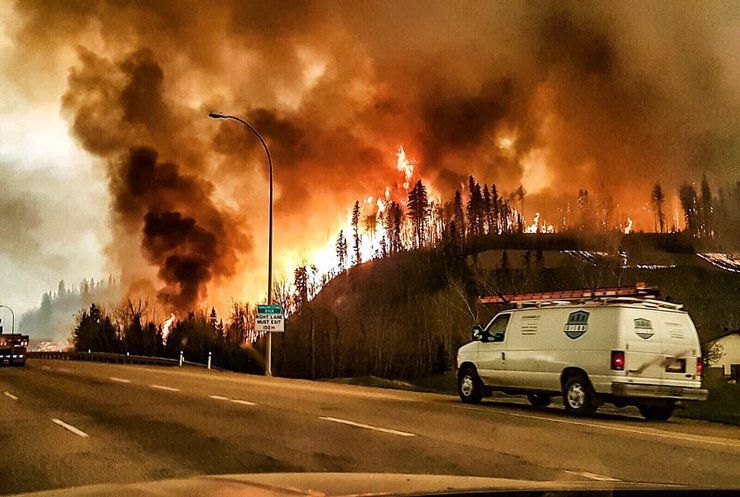 Нову Зеландію охопили лісові пожежі: з'явилися відео
