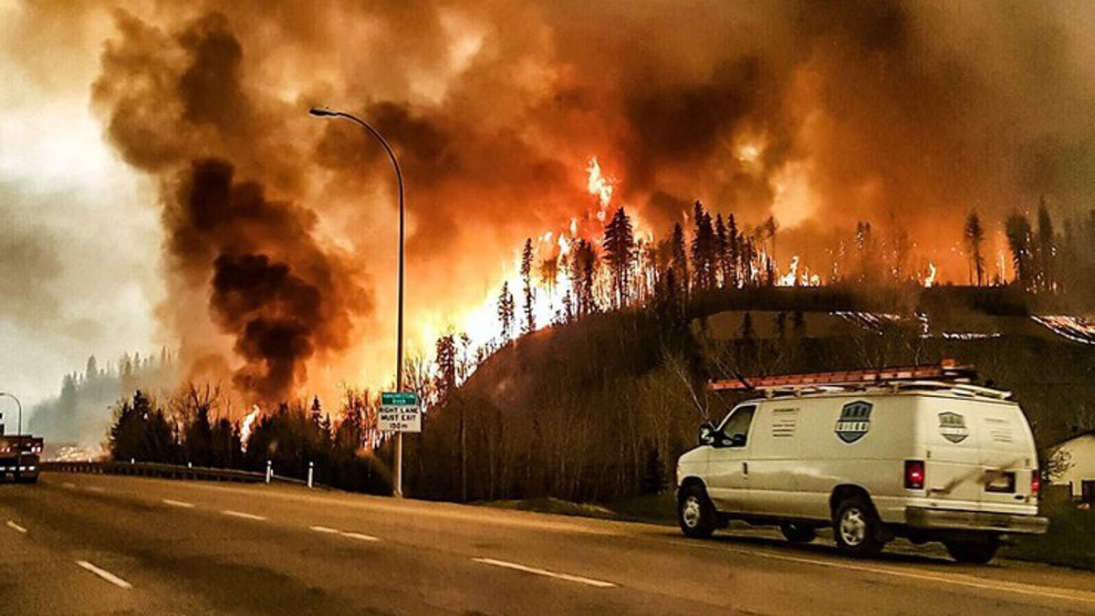 Пожежі в Новій Зелендії - фото 1