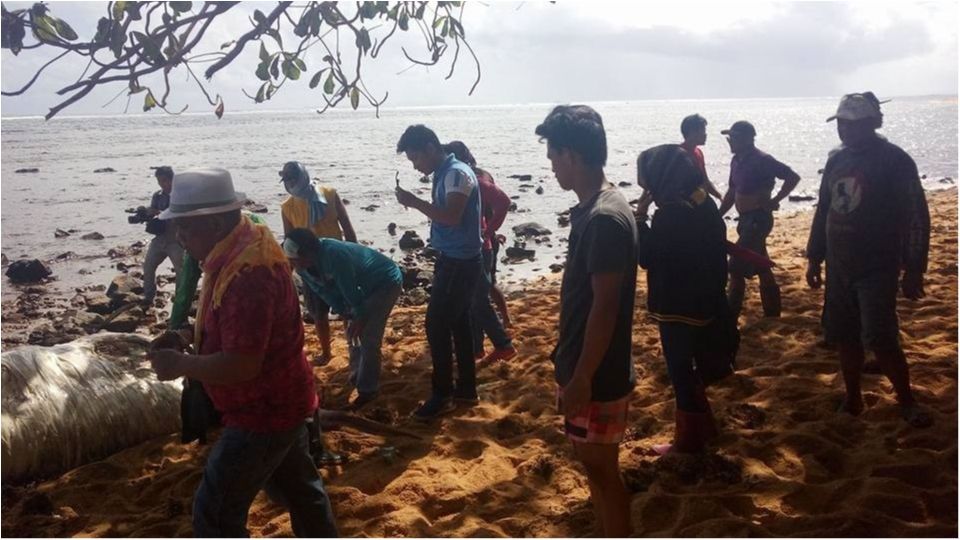 Що це таке? У Філіппінах не берег викинуло невідому істоту