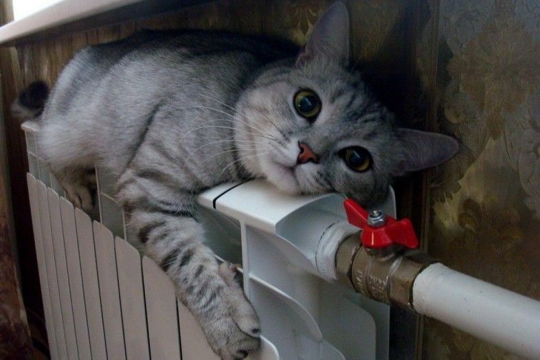 Фахівці сказали, коли найвигідніше оформлювати субсидію