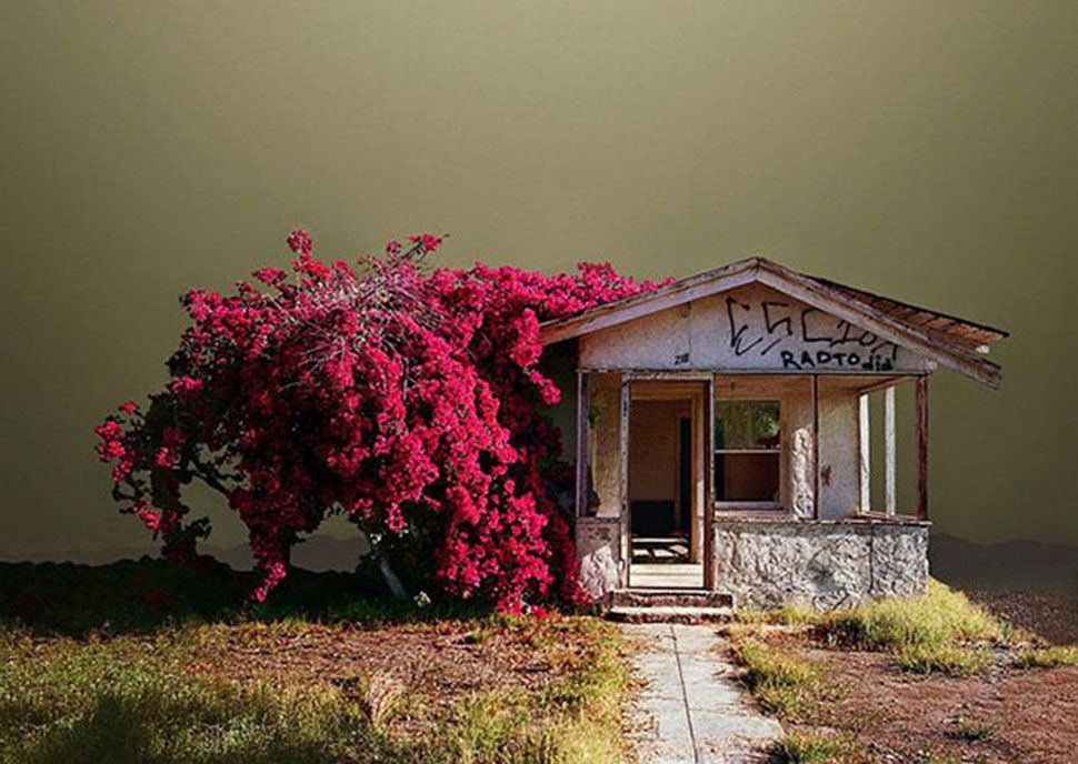 Як виглядають забуті куточки Каліфорнійської пустелі: ефектні фото